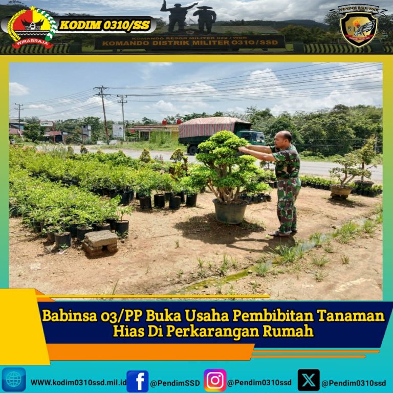 Babinsa Koramil 03/Pulau Punjung Buka Usaha Tanaman Bunga Dan Bibit Tanaman Buah di Kab. Dharmasraya