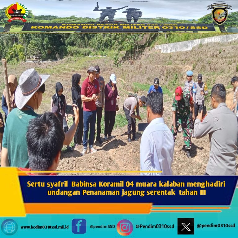 Sertu syafril Babinsa Koramil 04 muara kalaban menghadiri undangan Penanaman jagung serentak tahan III