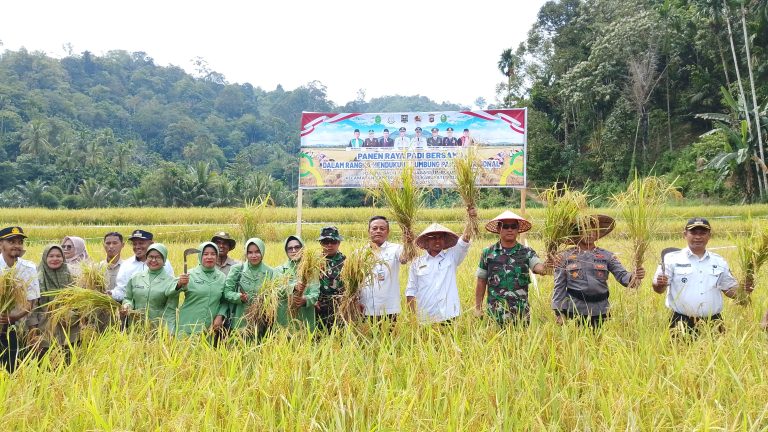 Dandim 0310/SS Panen Padi Perdana Bersama Masyarakat Timbulun